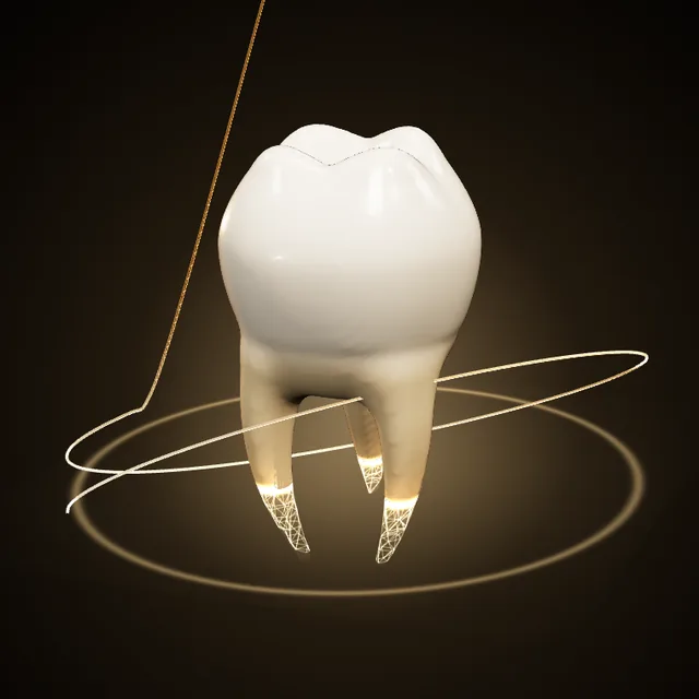Illustrazione 3D di un molare – cure conservative e otturazioni allo Studio Dentistico Martini, Perugia